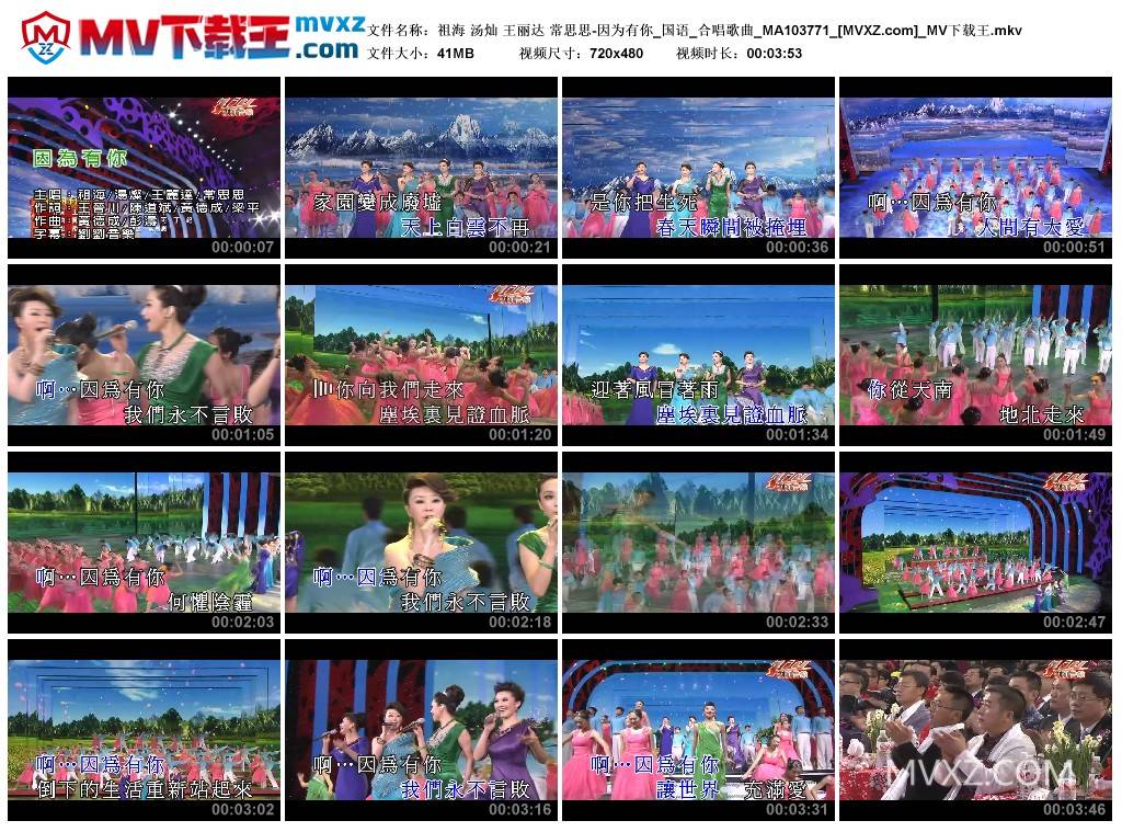 祖海 汤灿 王丽达 常思思-因为有你_国语_合唱歌曲_MA103771